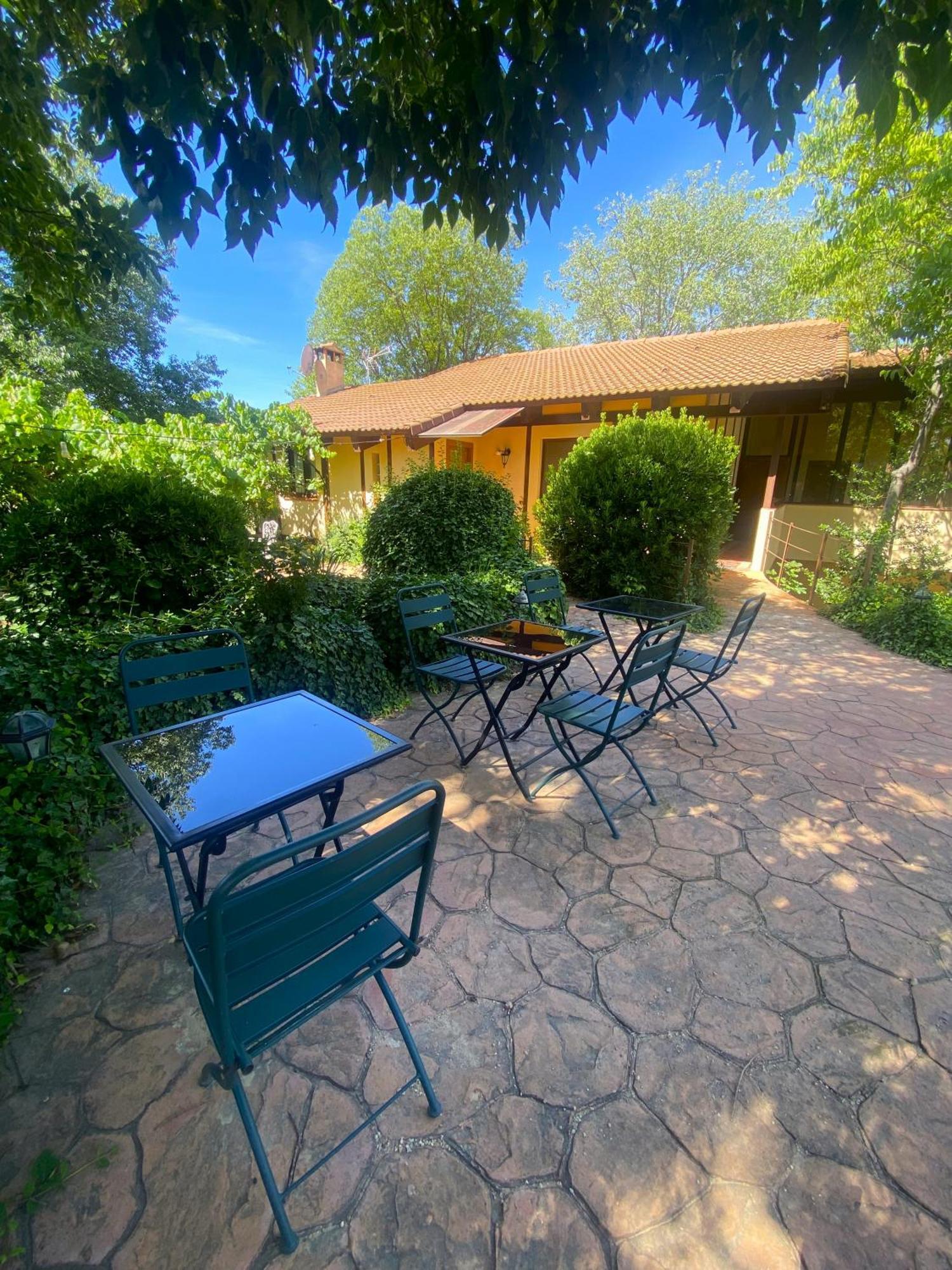 Penzion Pago De Tharsys Requena Exteriér fotografie